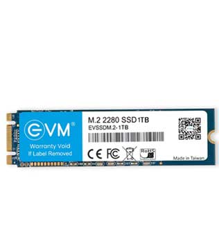 EVM 1TB M.2 SATA Solid State Drive (Pre-owned)